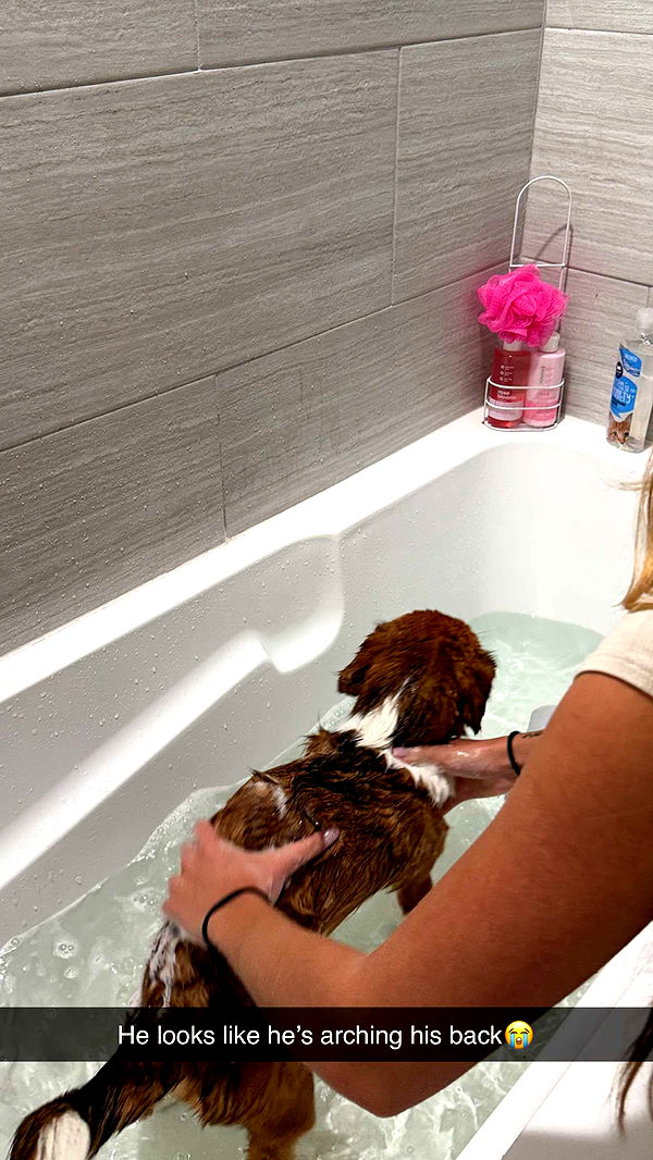 kydoddss image ~ Altpins