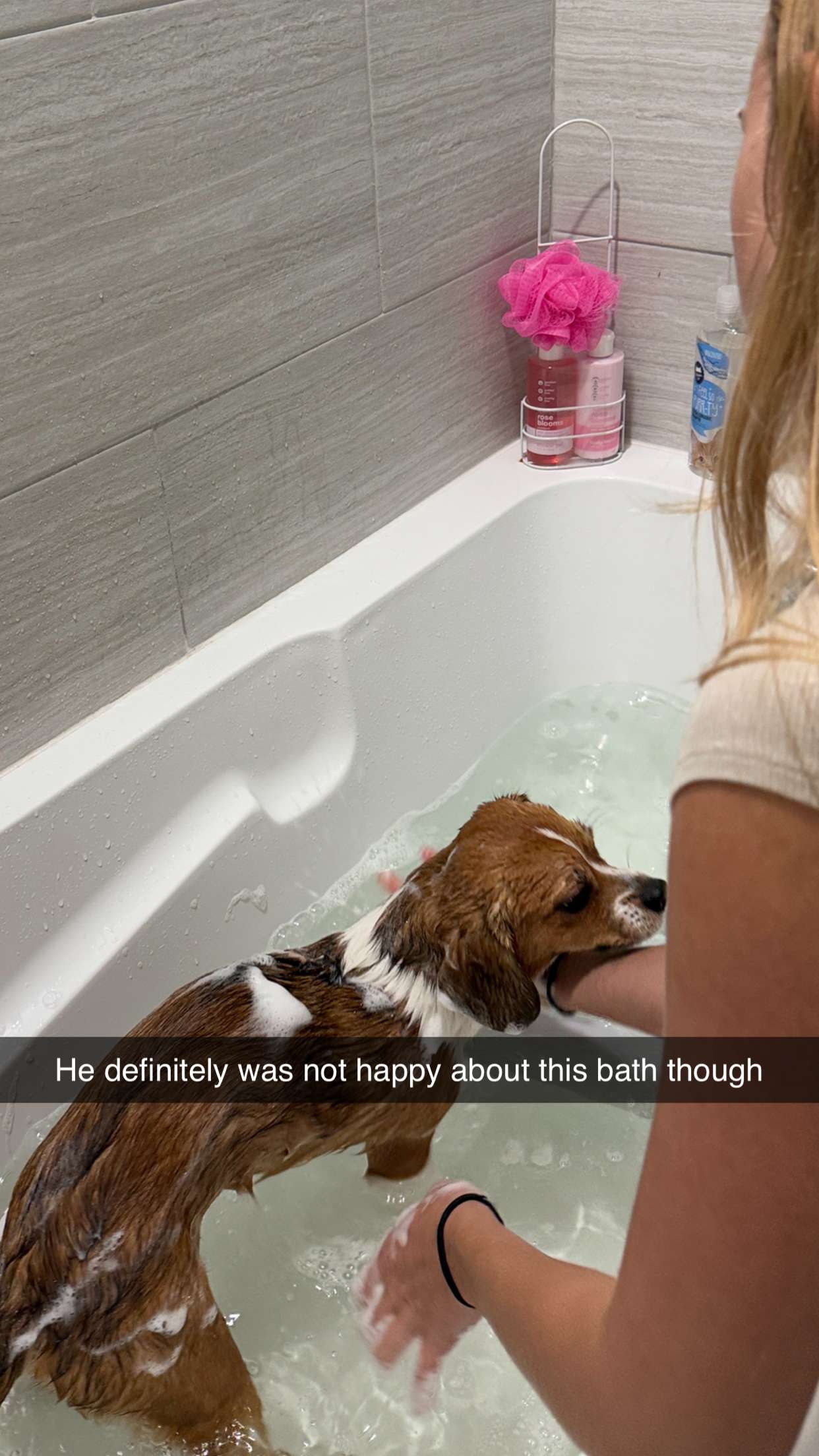 kydoddss snapchat image archive image