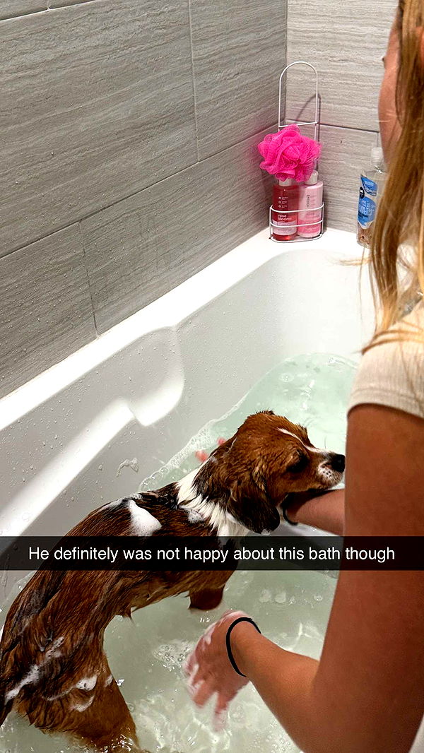 kydoddss image ~ Altpins