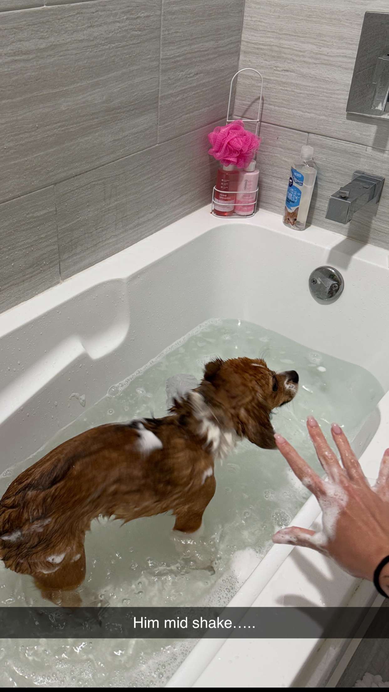 kydoddss snapchat image archive image