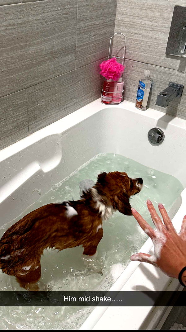 kydoddss image ~ Altpins