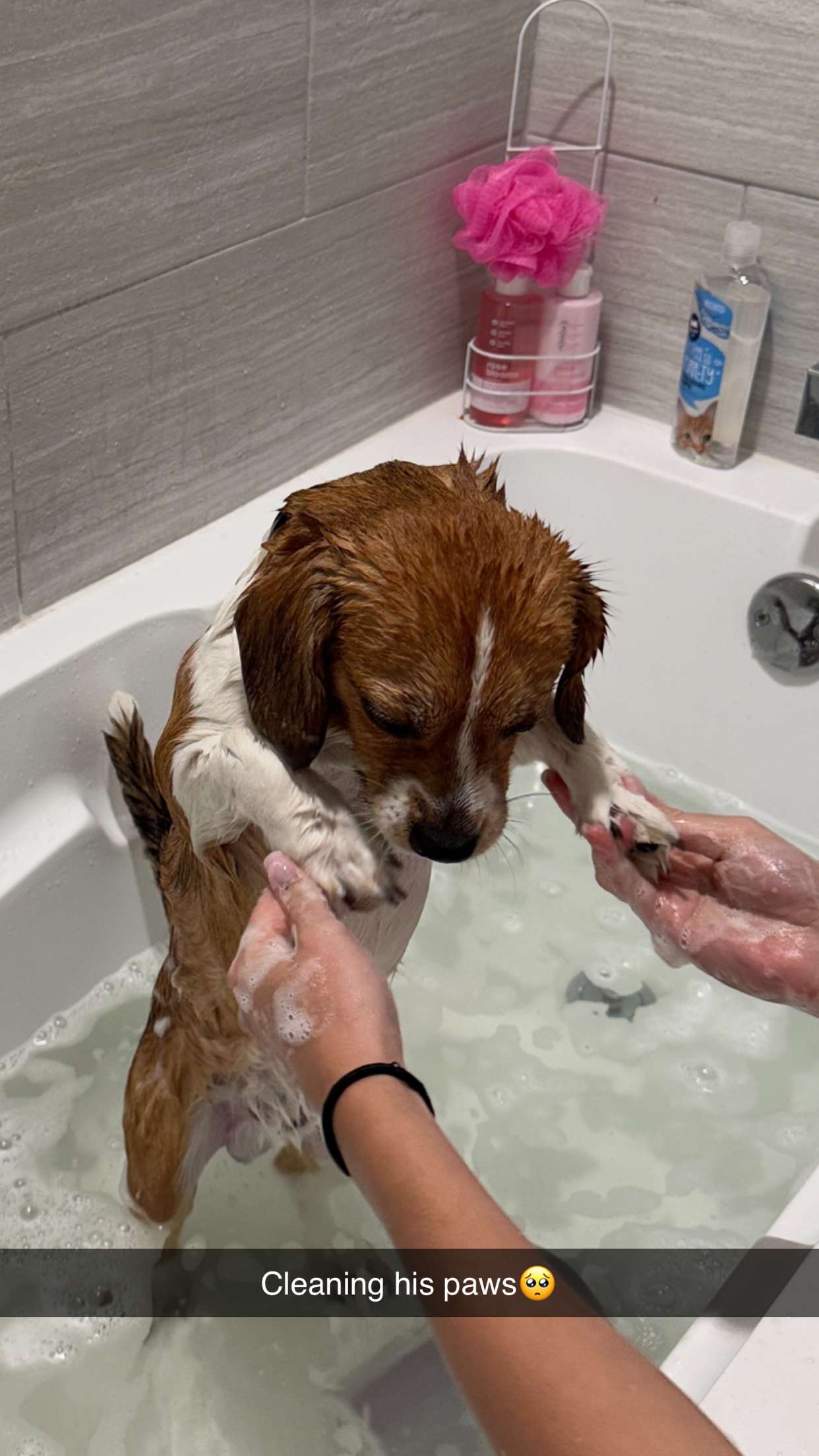 kydoddss snapchat image archive image