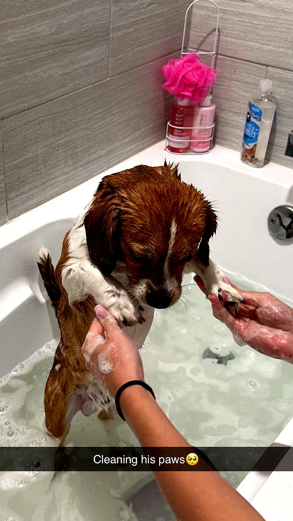 kydoddss image ~ Altpins