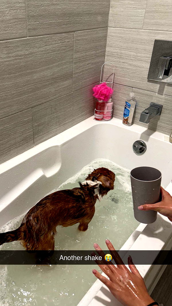 kydoddss image ~ Altpins