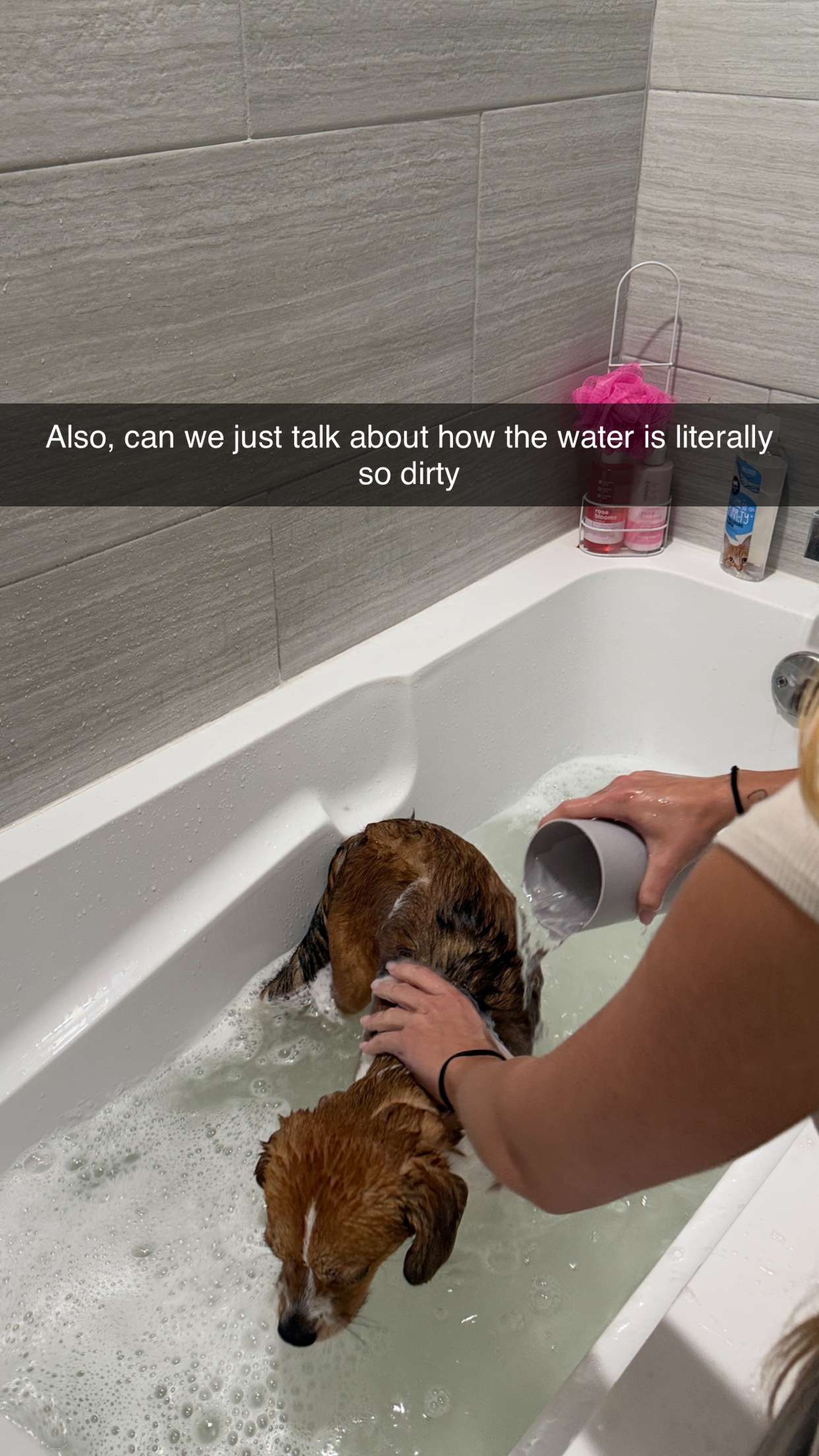 kydoddss snapchat image archive image