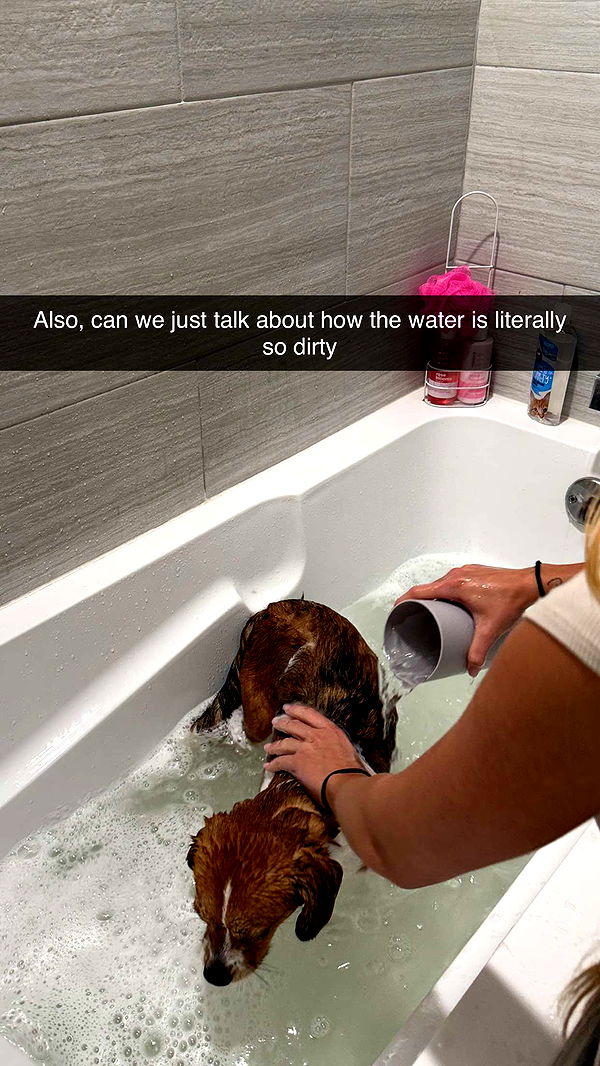 kydoddss image ~ Altpins