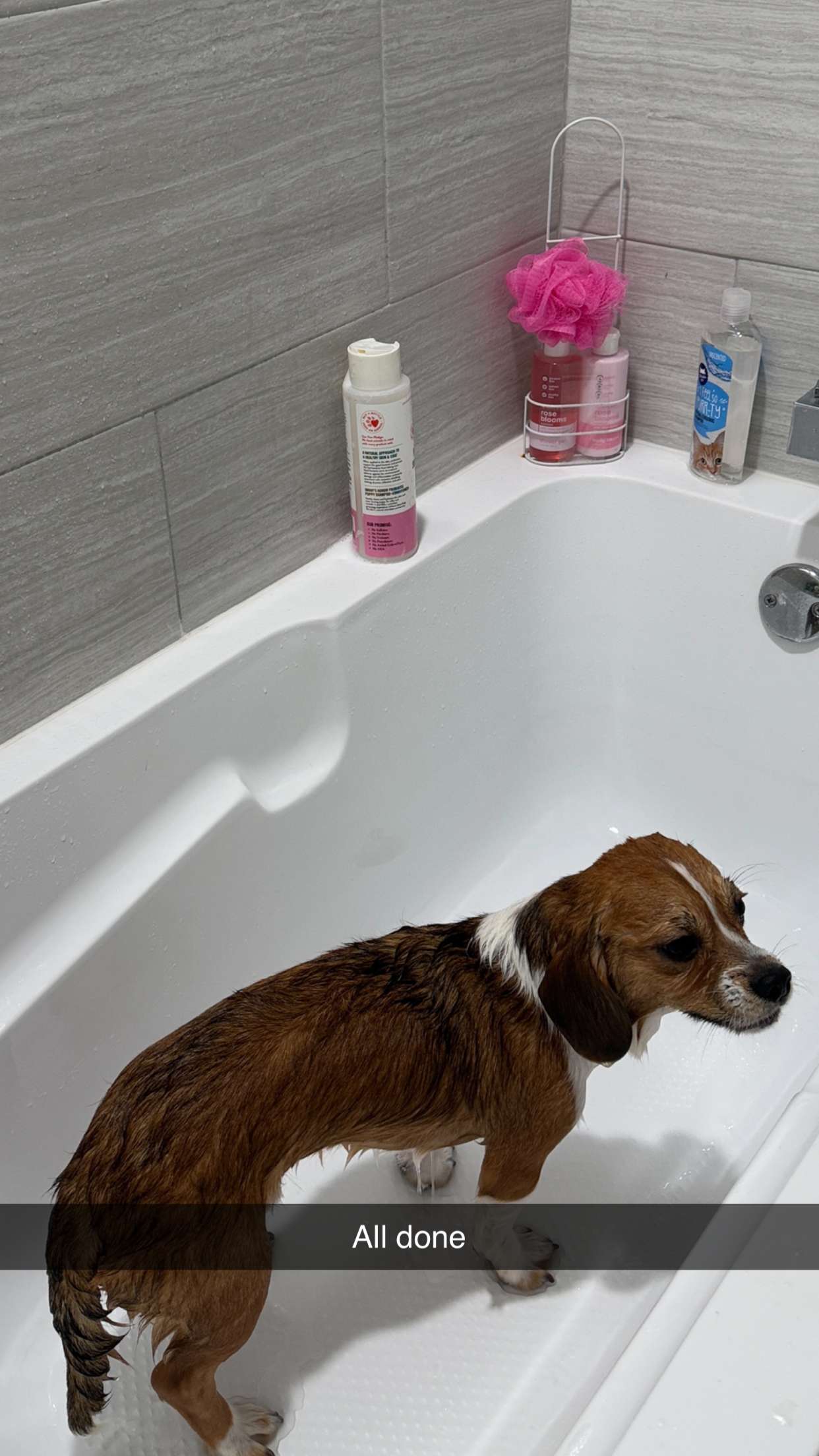 kydoddss snapchat image archive image