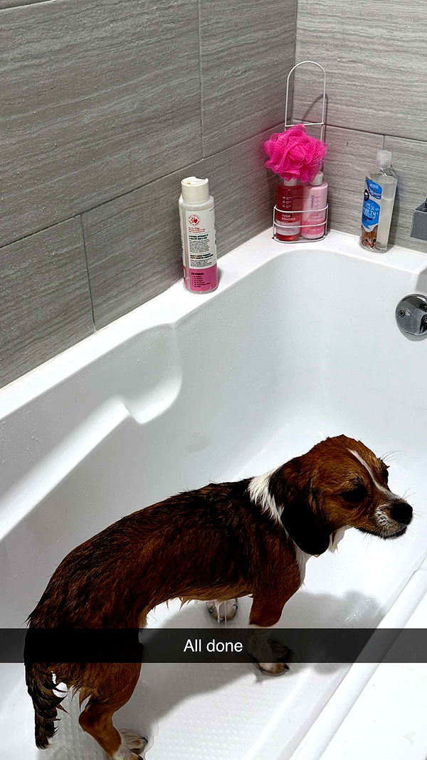 kydoddss image ~ Altpins