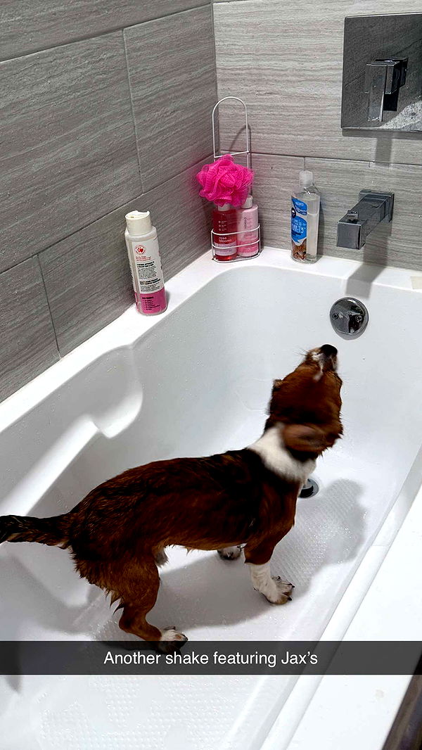 kydoddss image ~ Altpins