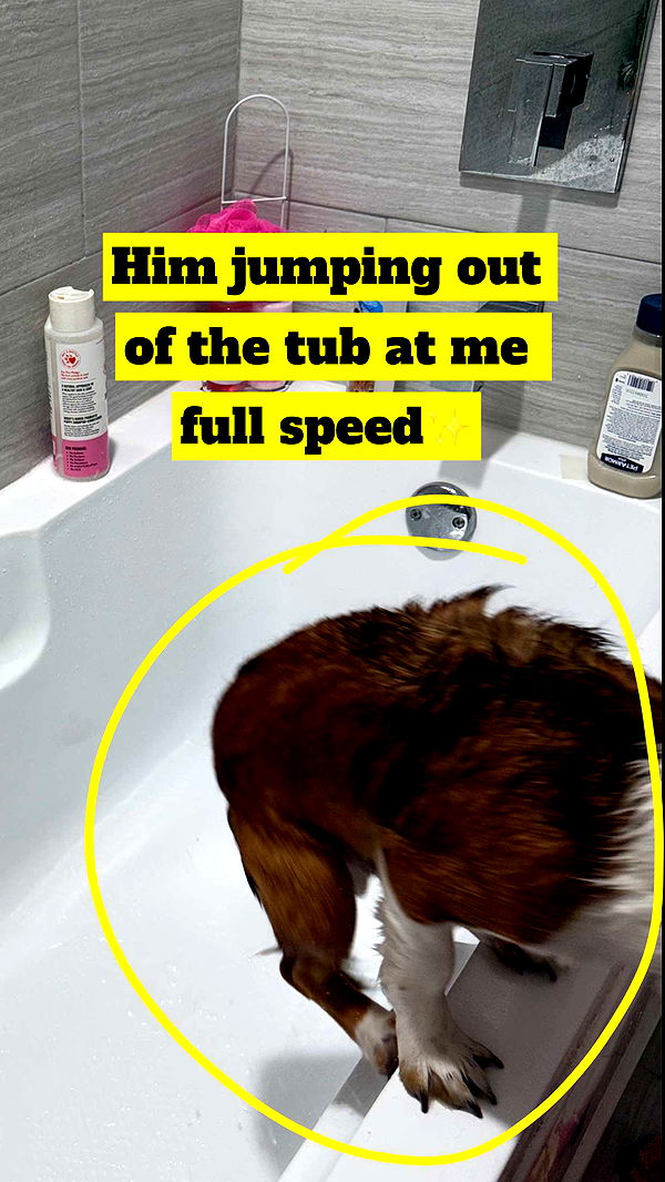 kydoddss image ~ Altpins