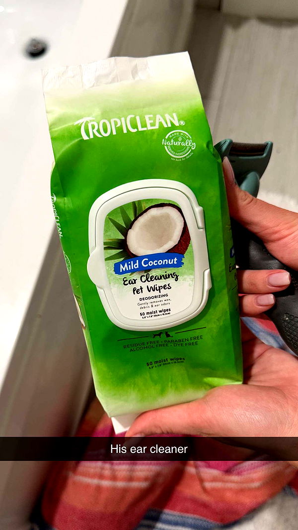 kydoddss image ~ Altpins