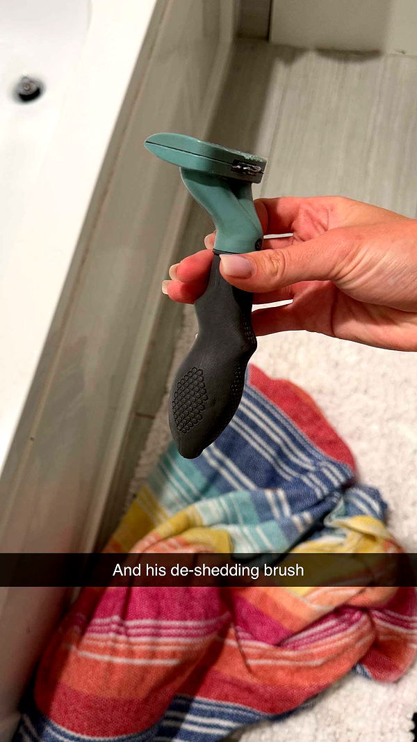 kydoddss image ~ Altpins