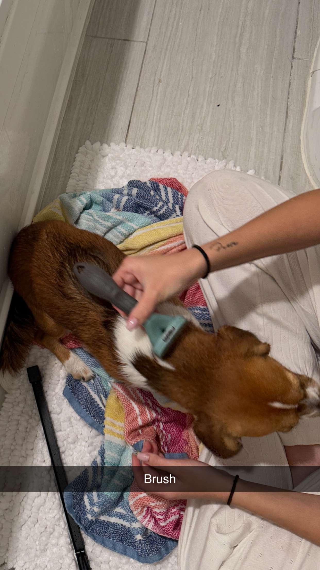 kydoddss snapchat image archive image