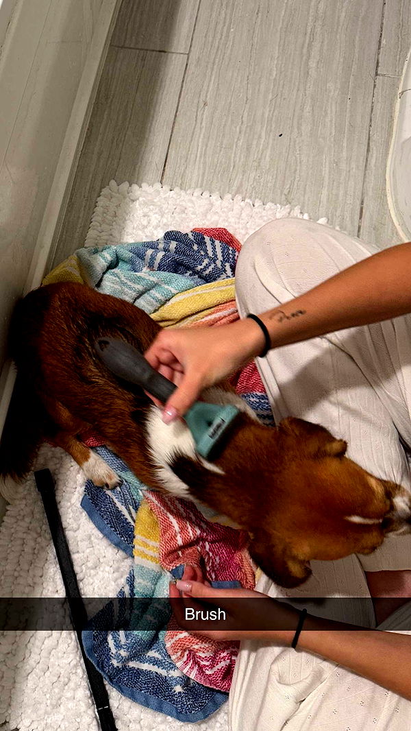 kydoddss image ~ Altpins