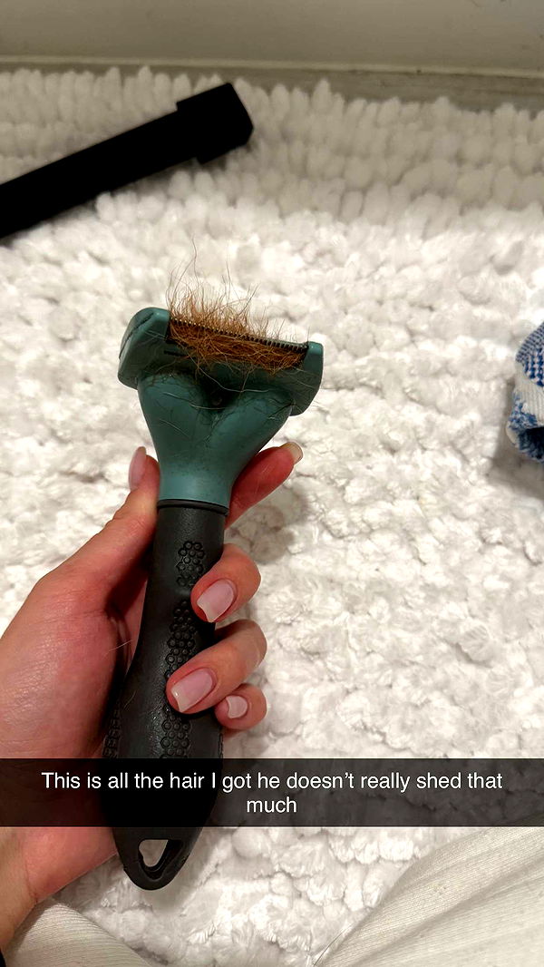 kydoddss image ~ Altpins