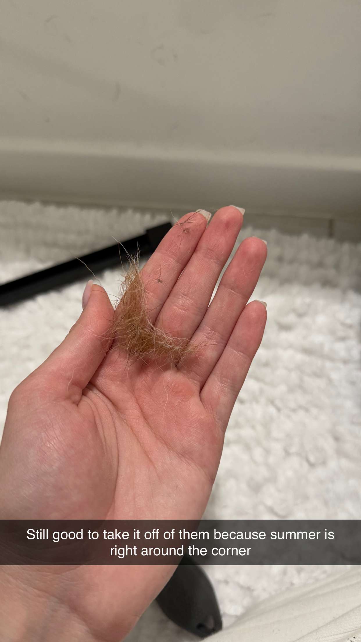 kydoddss snapchat image archive image