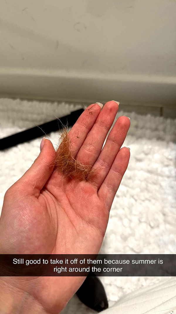 kydoddss image ~ Altpins