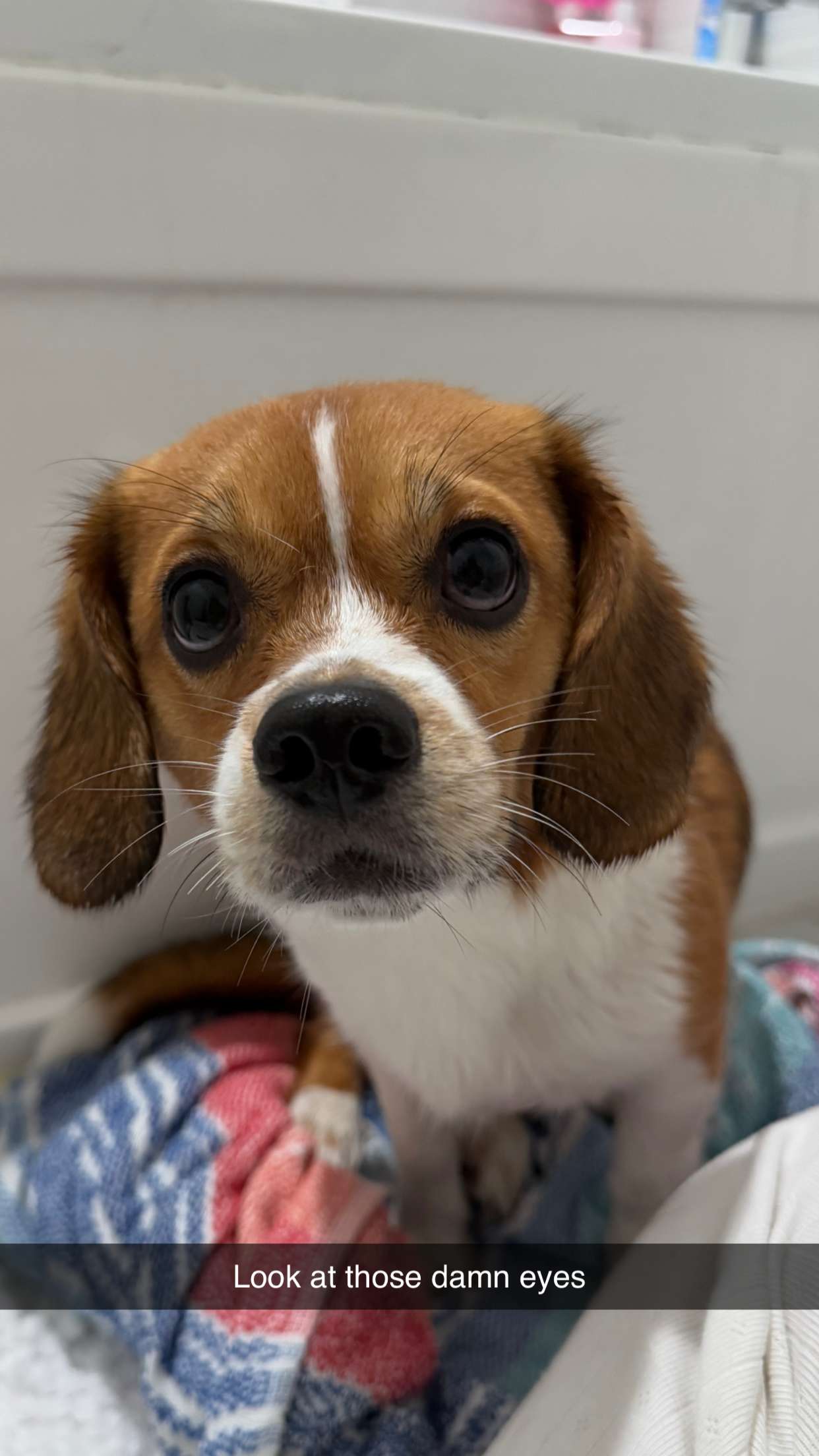 kydoddss snapchat image archive image