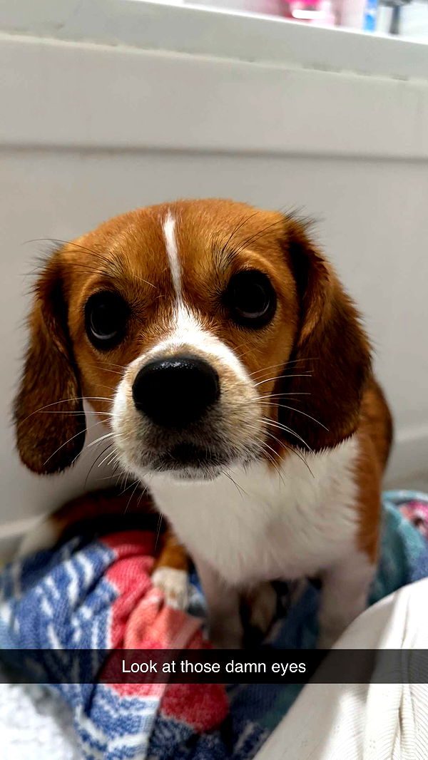 kydoddss image ~ Altpins