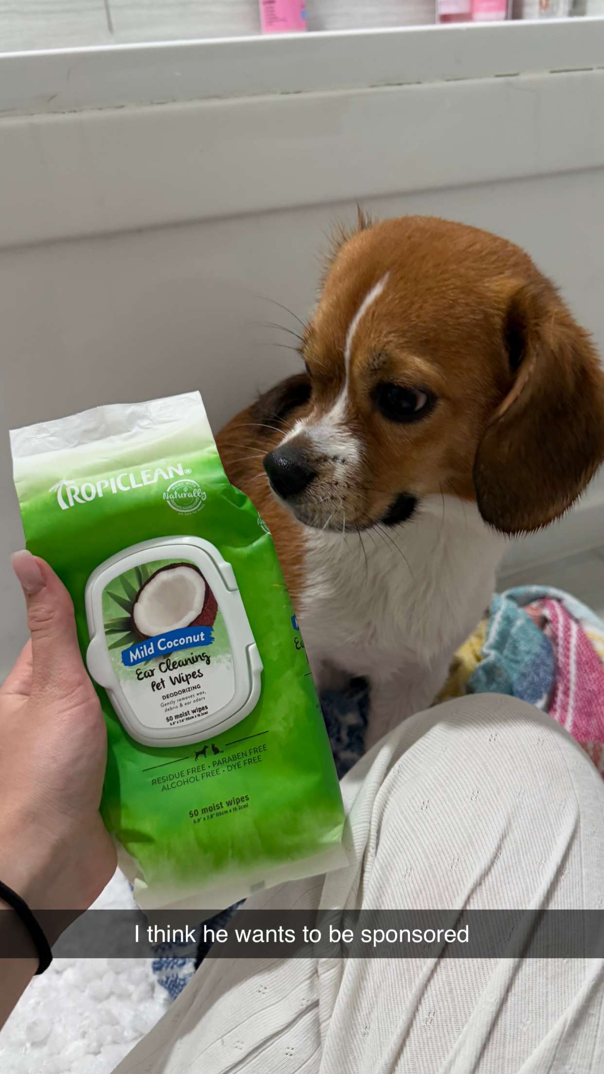 kydoddss snapchat image archive image