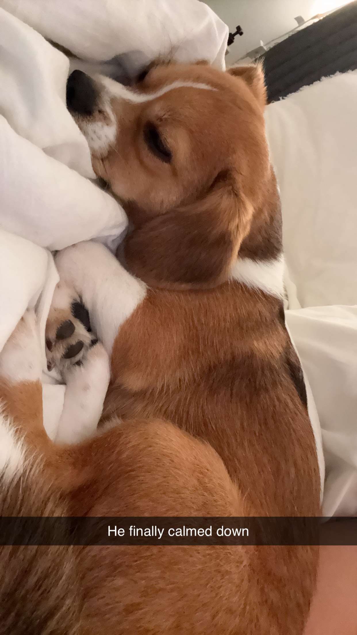 kydoddss snapchat image archive image