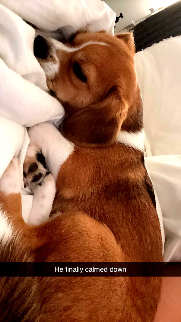 kydoddss image ~ Altpins