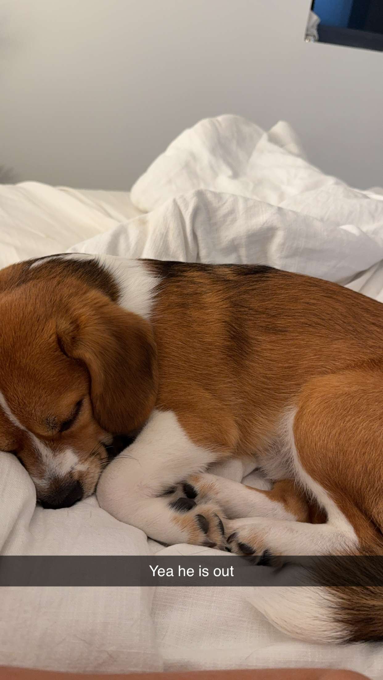 kydoddss snapchat image archive image