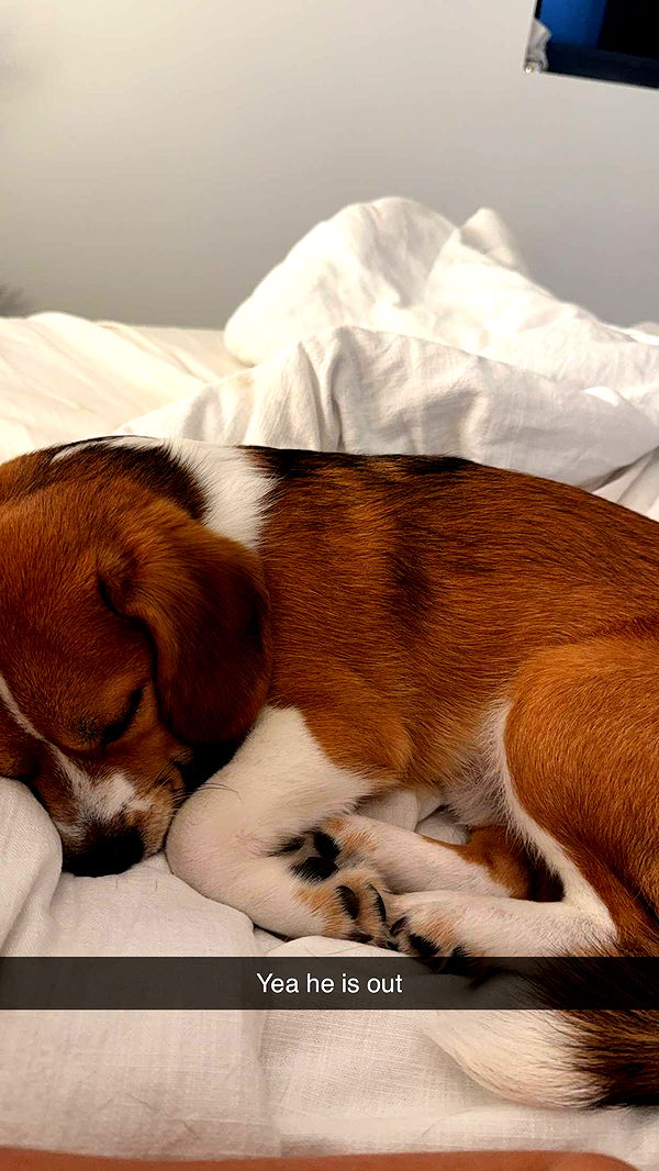 kydoddss image ~ Altpins