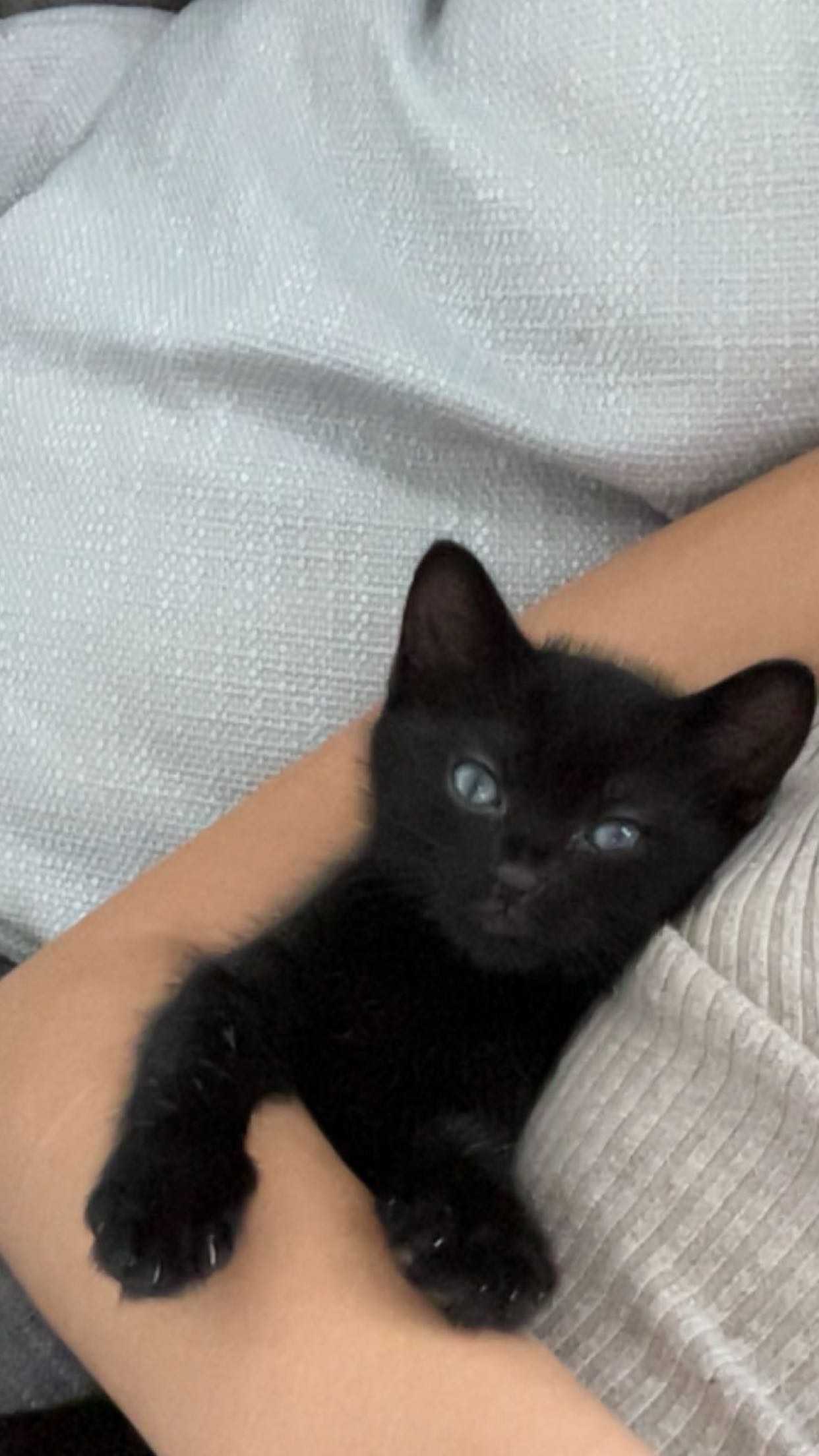 kydoddss snapchat image archive image