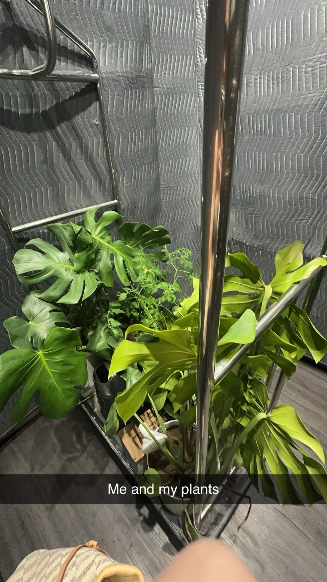 kydoddss snapchat image archive image