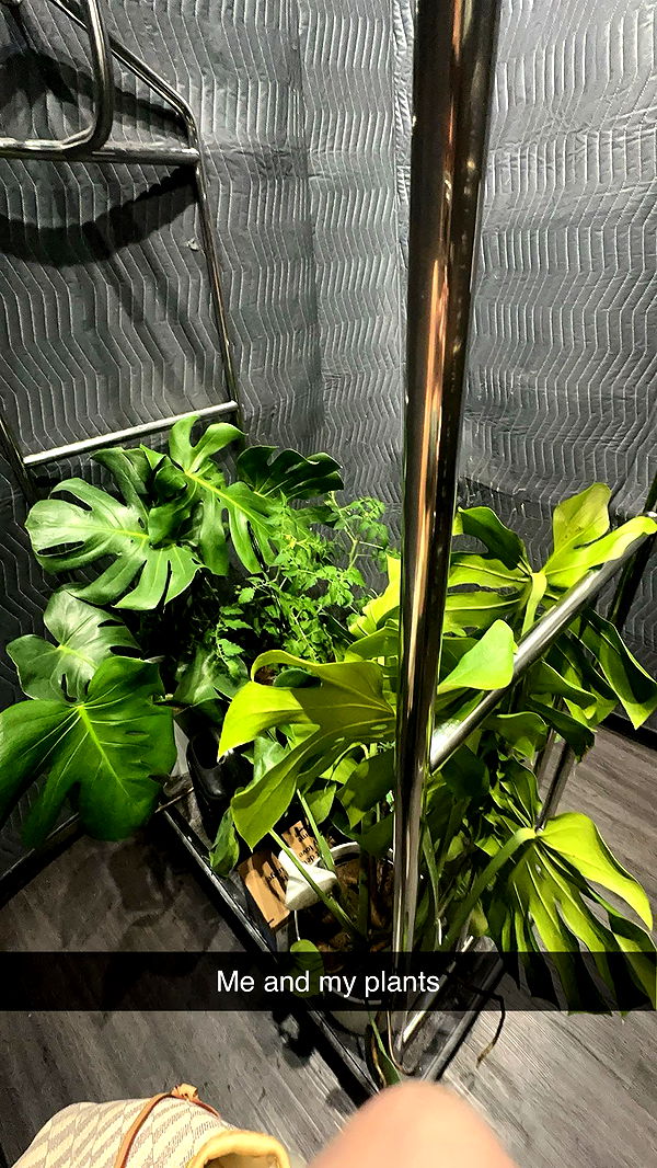 kydoddss image ~ Altpins