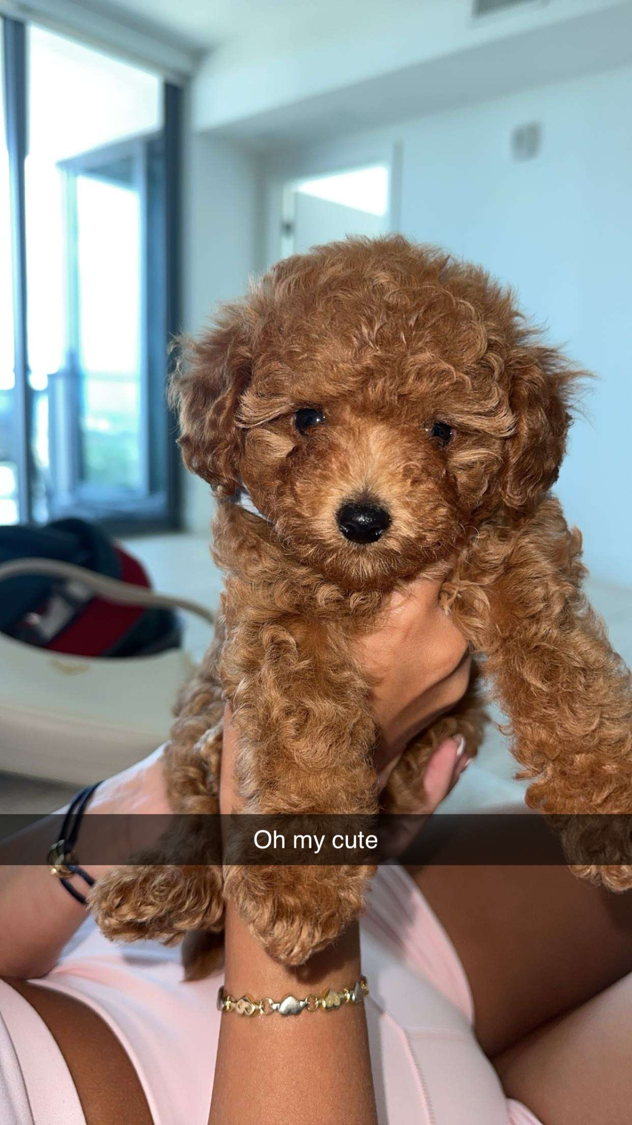 kydoddss snapchat image archive image