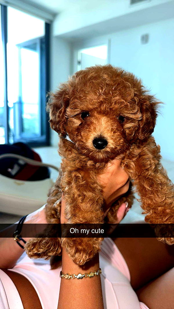 kydoddss image ~ Altpins