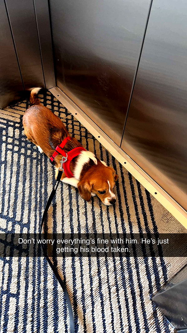 kydoddss image ~ Altpins