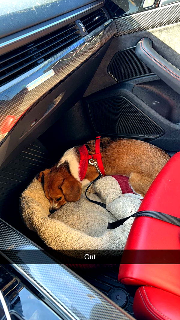 kydoddss image ~ Altpins