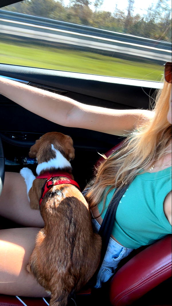 kydoddss image ~ Altpins