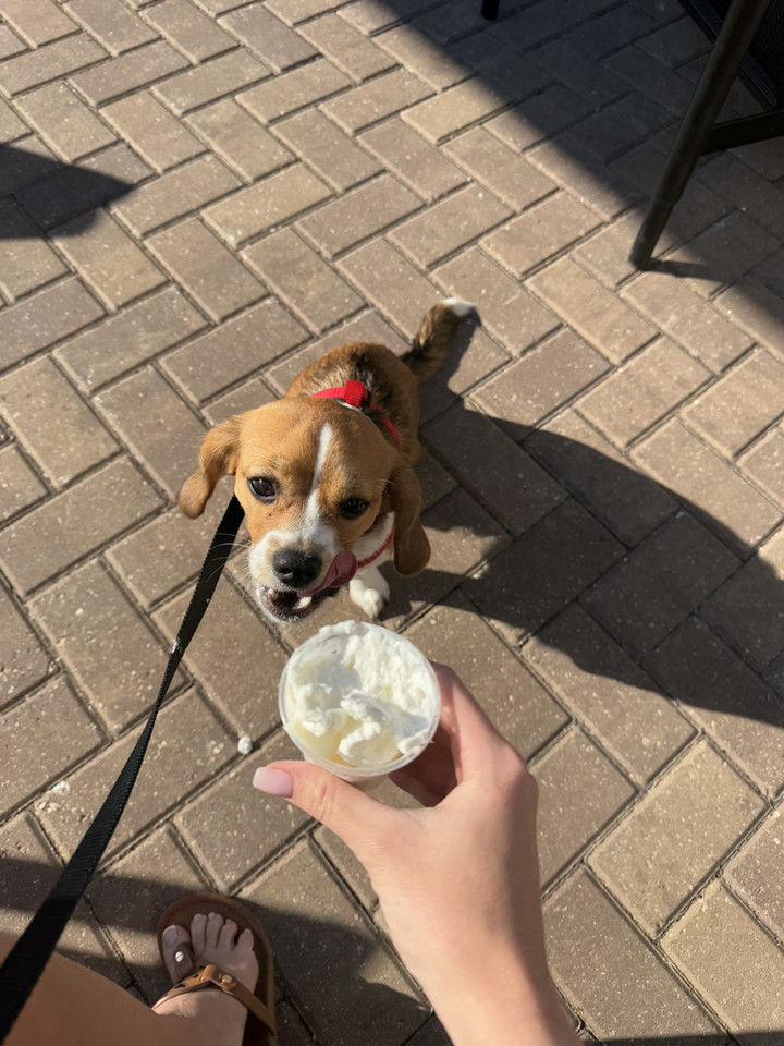 kydoddss snapchat image archive image