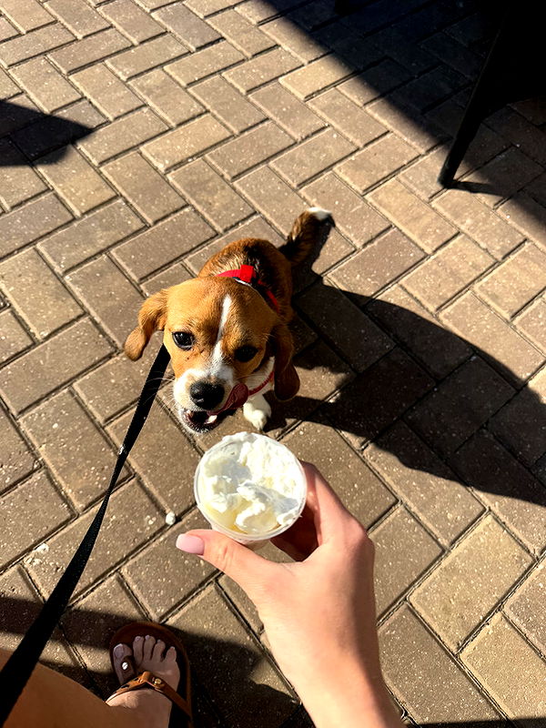 kydoddss image ~ Altpins