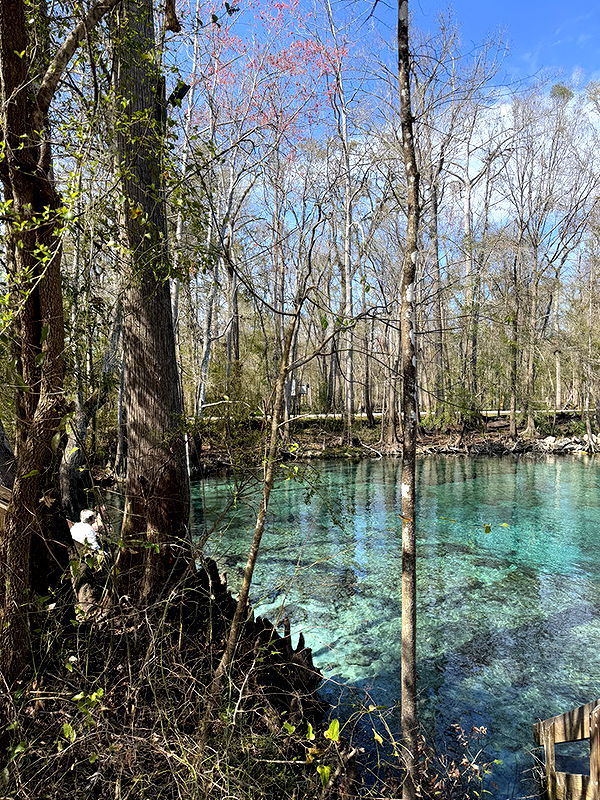 kydoddss image ~ Altpins