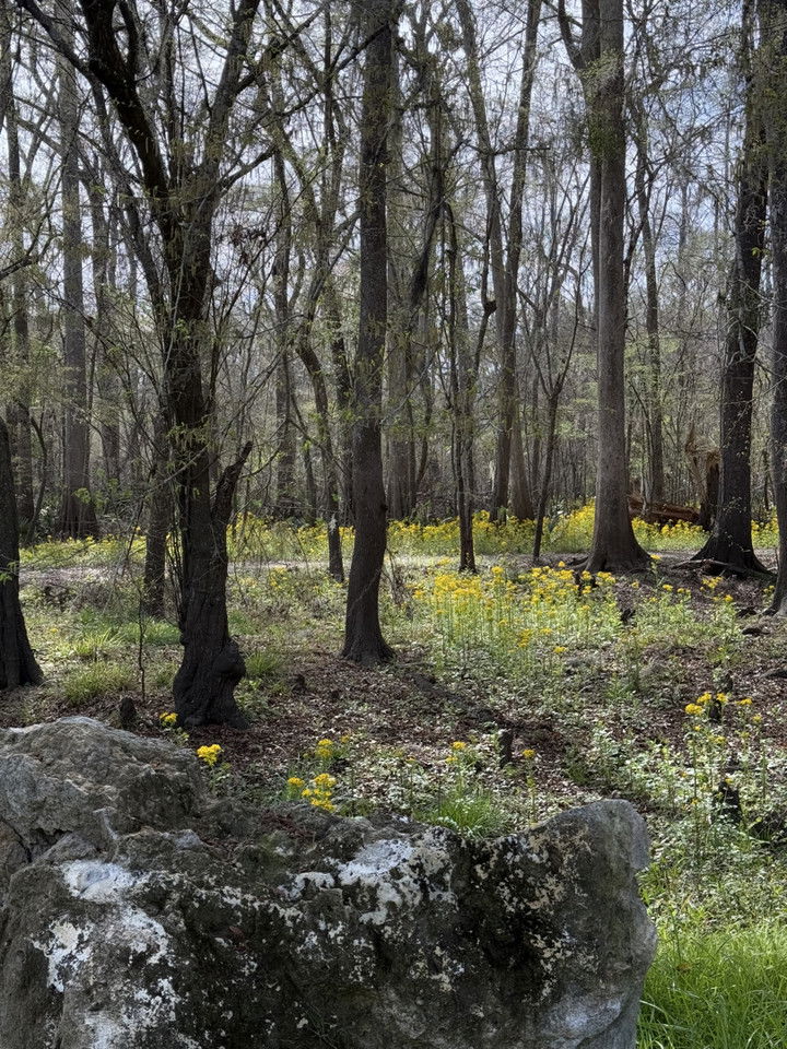 kydoddss snapchat image archive image