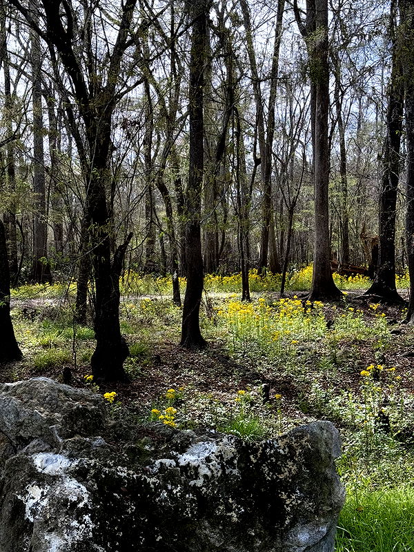 kydoddss image ~ Altpins