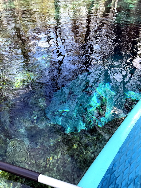 kydoddss image ~ Altpins