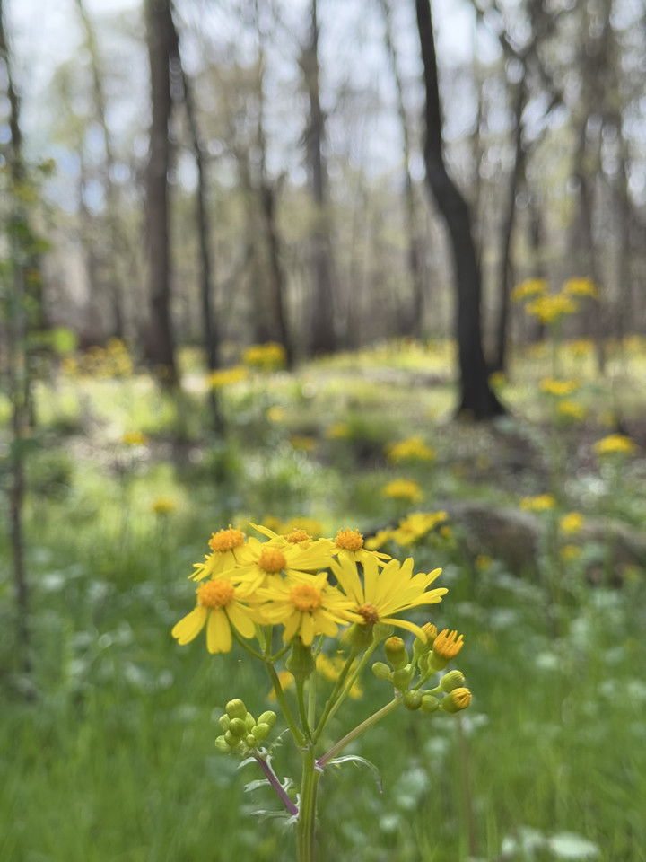 kydoddss snapchat image archive image