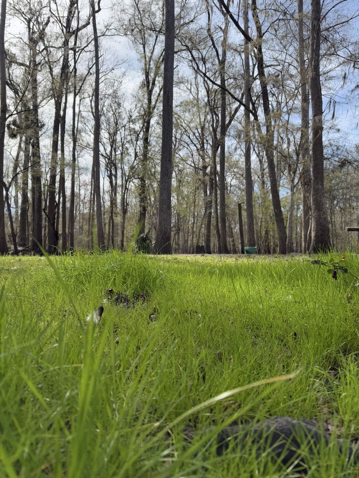 kydoddss snapchat image archive image