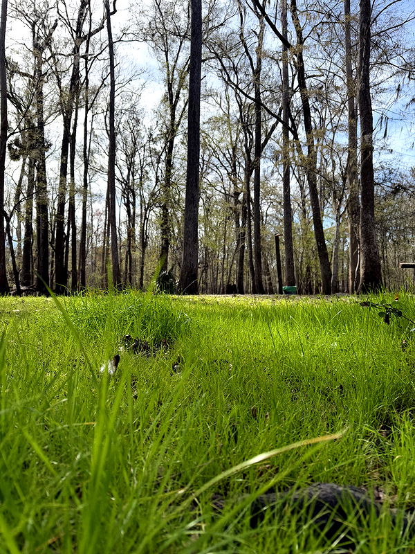 kydoddss image ~ Altpins