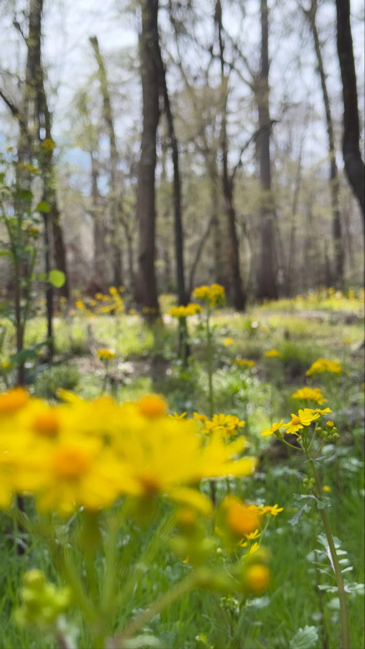 kydoddss snapchat image archive image