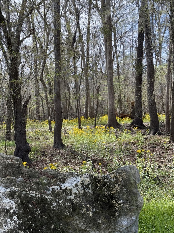 kydoddss snapchat image archive image