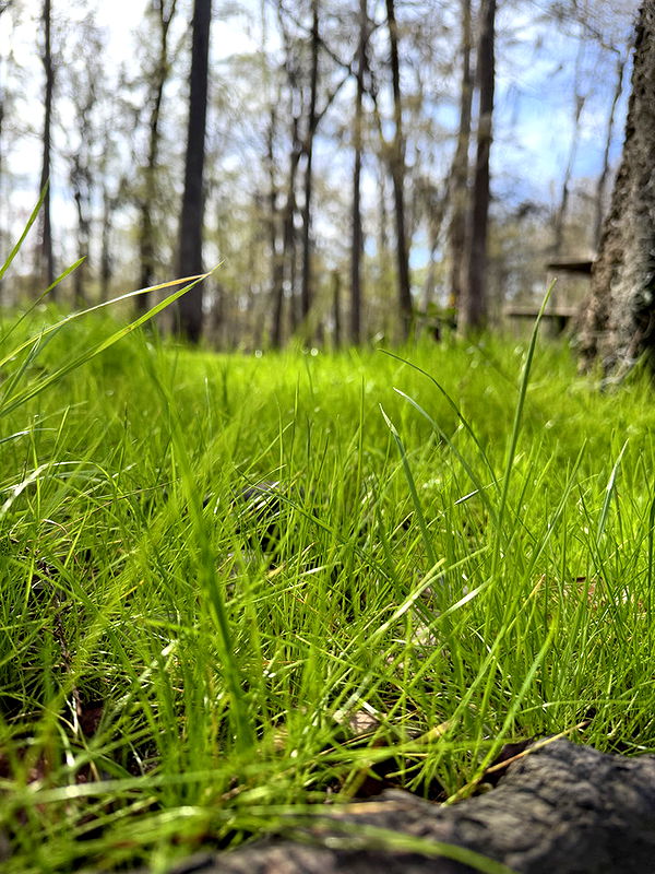 kydoddss image ~ Altpins