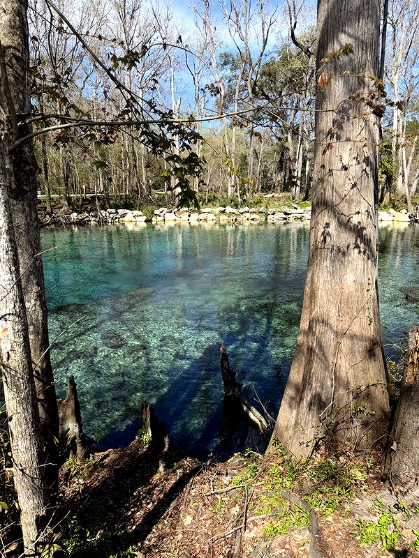 kydoddss image ~ Altpins