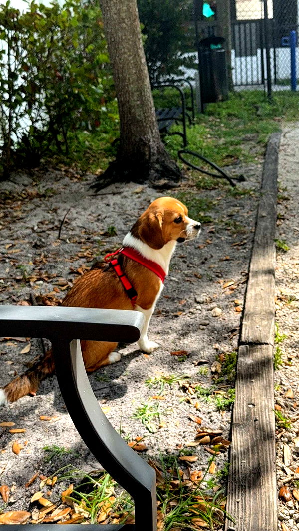 kydoddss image ~ Altpins